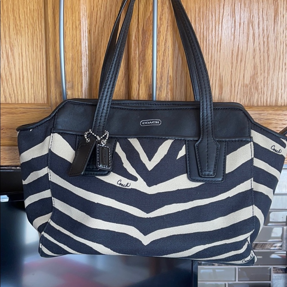 Coach printed mini bag